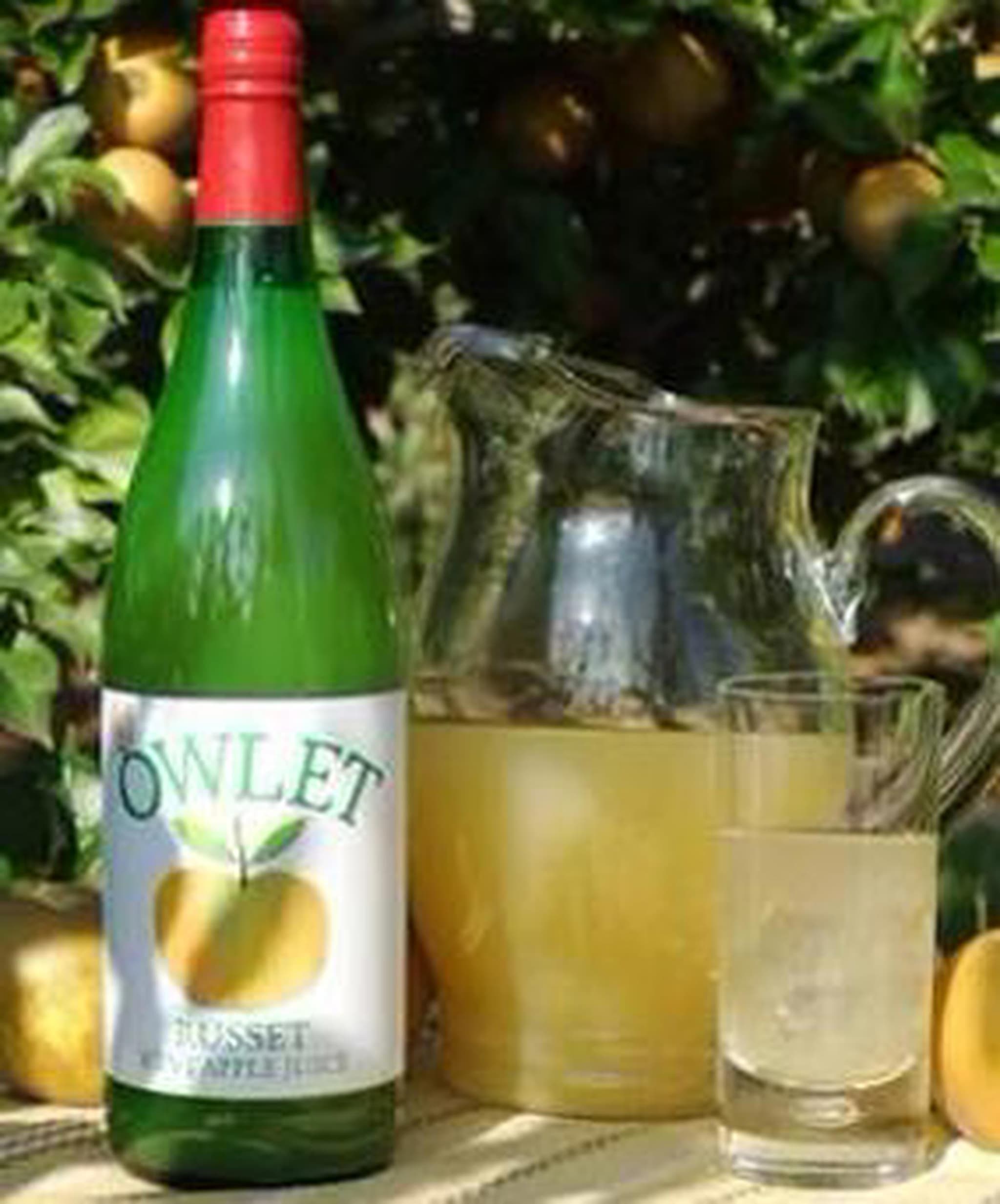 Apple Juice Kentish