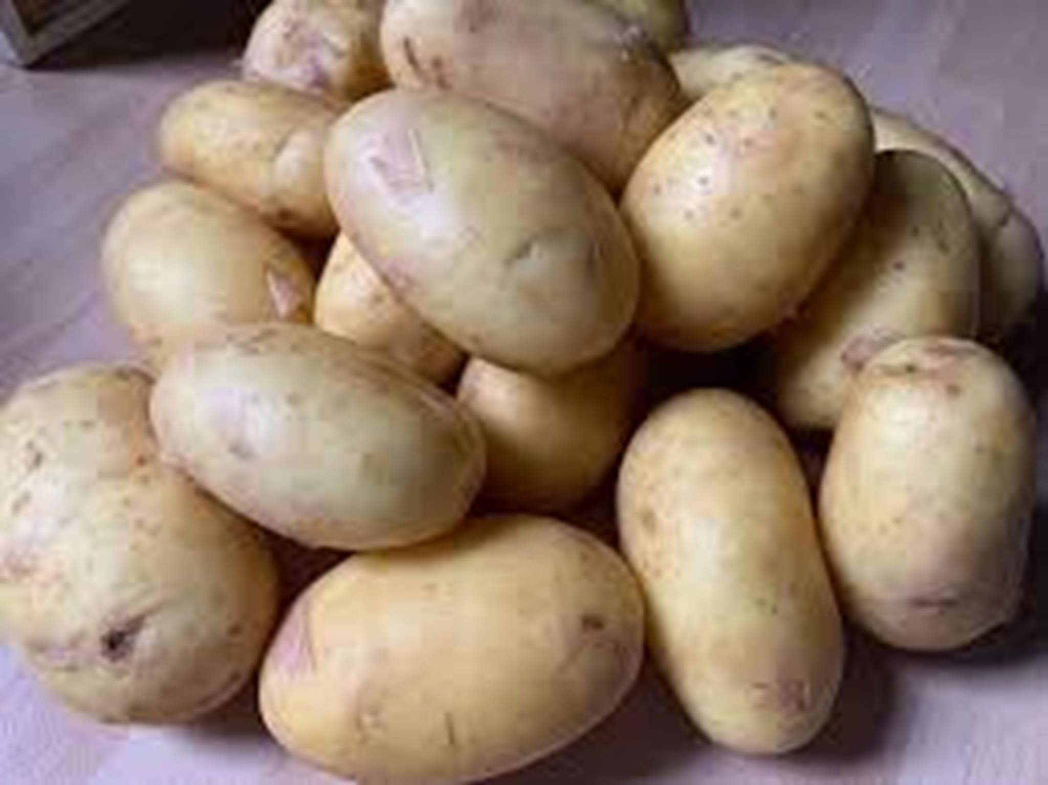 Potatoes - White EKG