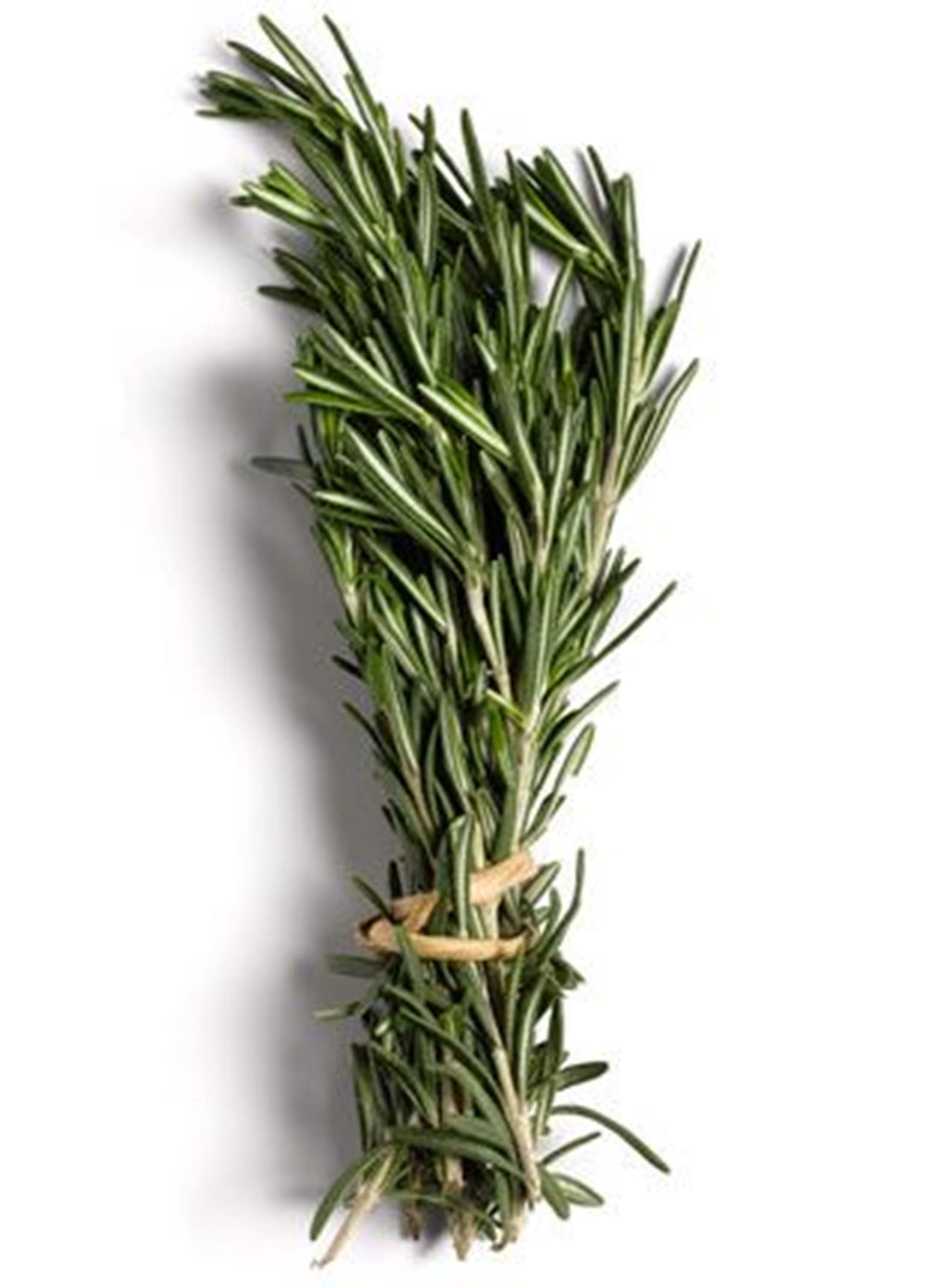 Fresh Rosemary